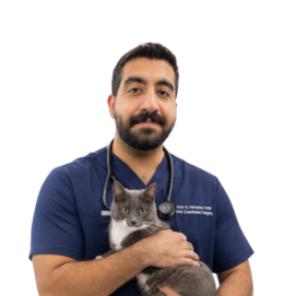 DR AMIR